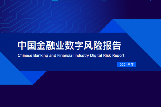 中国金融业数字风险报告