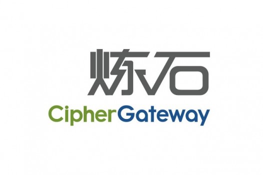 北京炼石网络技术有限公司