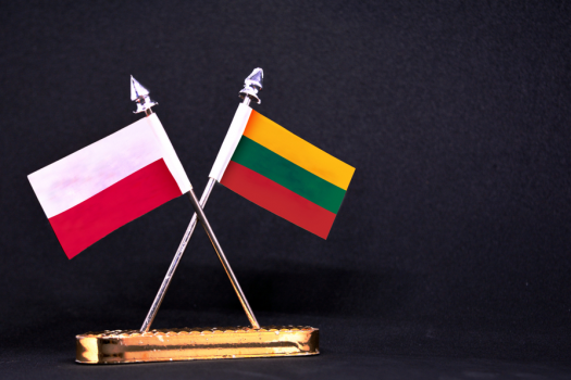 愈演愈烈！立陶宛和波兰发布网络攻击警告