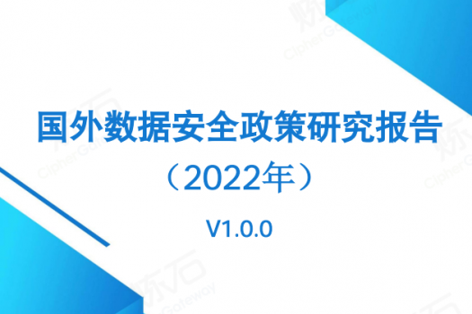 国外数据安全政策研究报告（2022年）V1.0.0