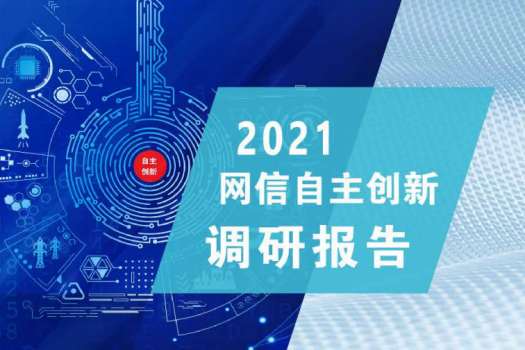 2021网信自主创新调研报告