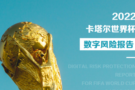 2022卡塔尔世界杯数字风险报告